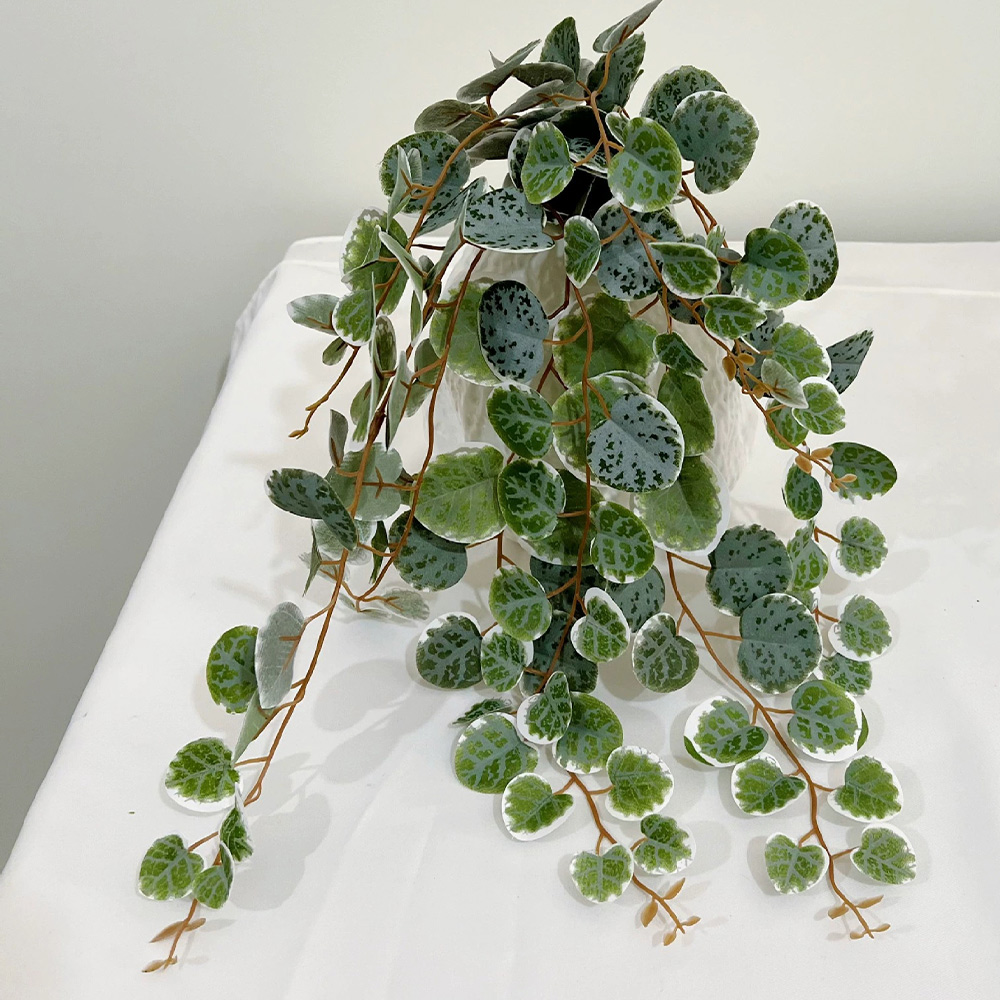 49cm Artificial Plants Vines F - Pilea Peperomioides ulasan dan harga