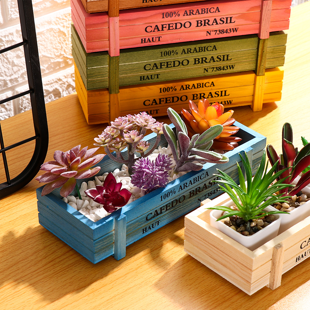 Natural Wooden Flowerpot Garde - Pilea Peperomioides ulasan dan harga