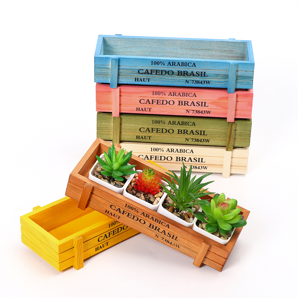 Natural Wooden Flowerpot Garde - Pilea Peperomioides ulasan dan harga
