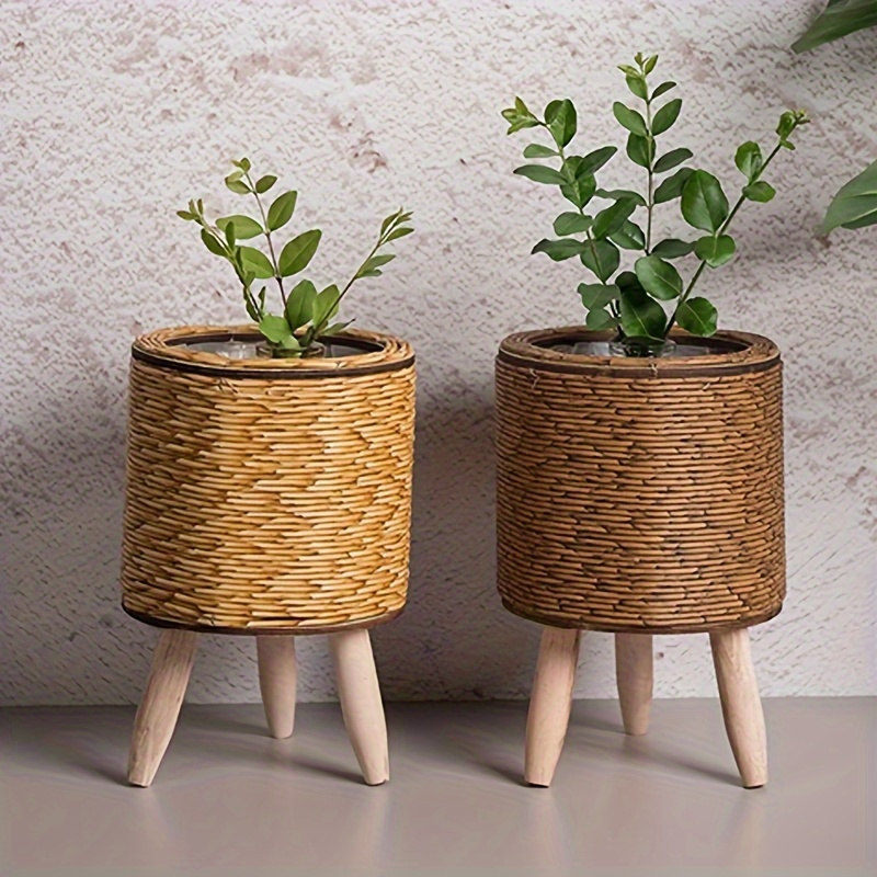 Charming Rustic Rattan Planter - Pilea Peperomioides ulasan dan harga