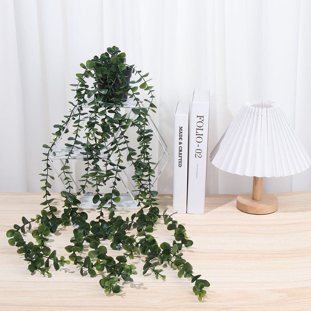 Artificial Hanging Plants with - Pilea Peperomioides ulasan dan harga