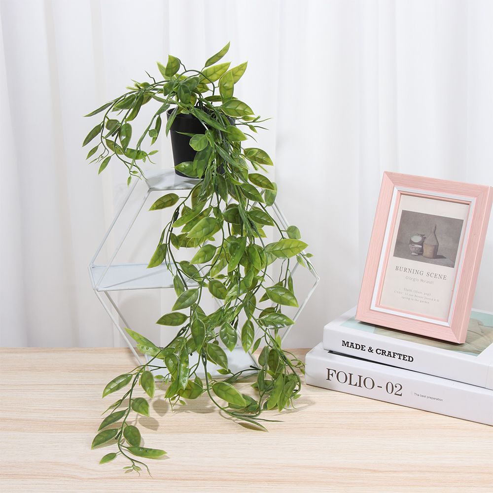 Artificial Hanging Plants with - Pilea Peperomioides ulasan dan harga