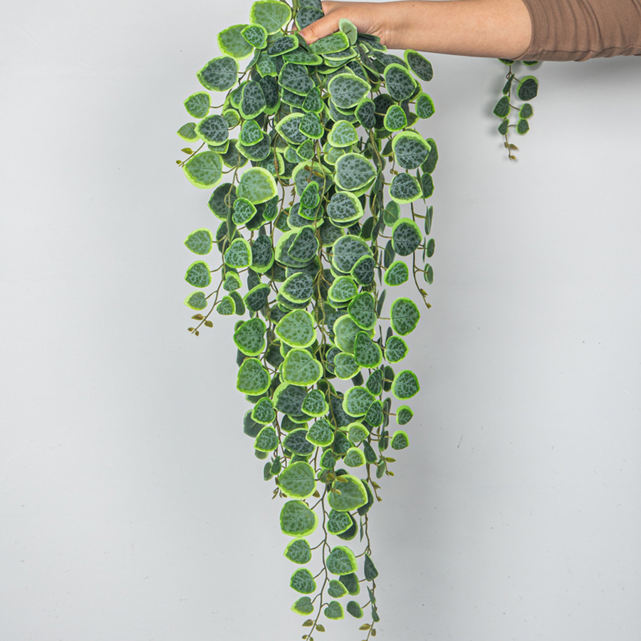 60-80cm Artificial Hanging Vin - Pilea Peperomioides ulasan dan harga