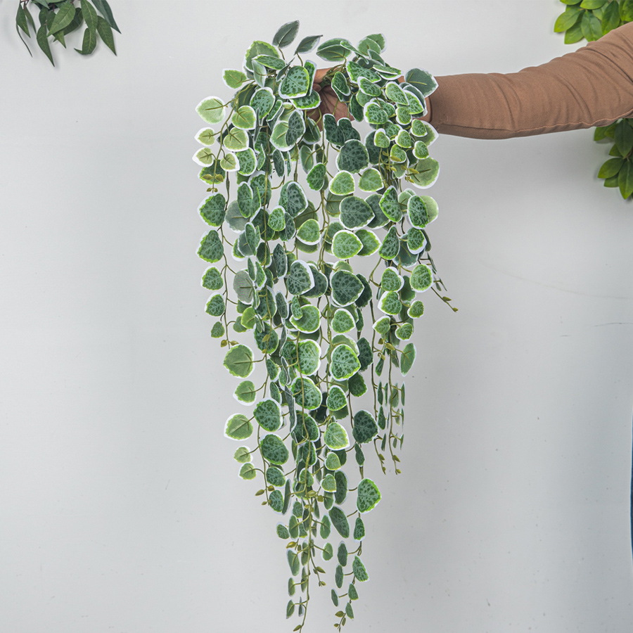 60-80cm Artificial Hanging Vin - Pilea Peperomioides ulasan dan harga