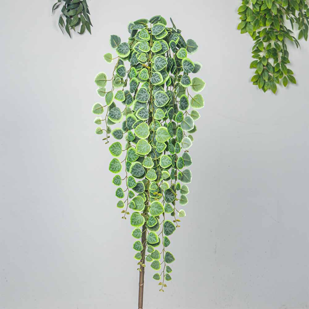 60-80cm Artificial Hanging Vin - Pilea Peperomioides ulasan dan harga