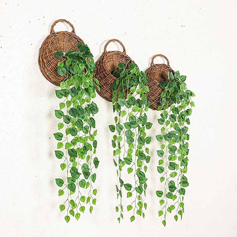Artificial Basket Rattan Hangi - Pilea Peperomioides ulasan dan harga