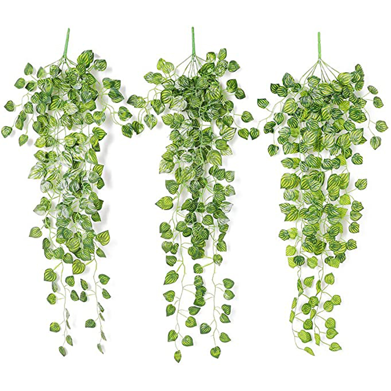 Artificial Basket Rattan Hangi - Pilea Peperomioides ulasan dan harga