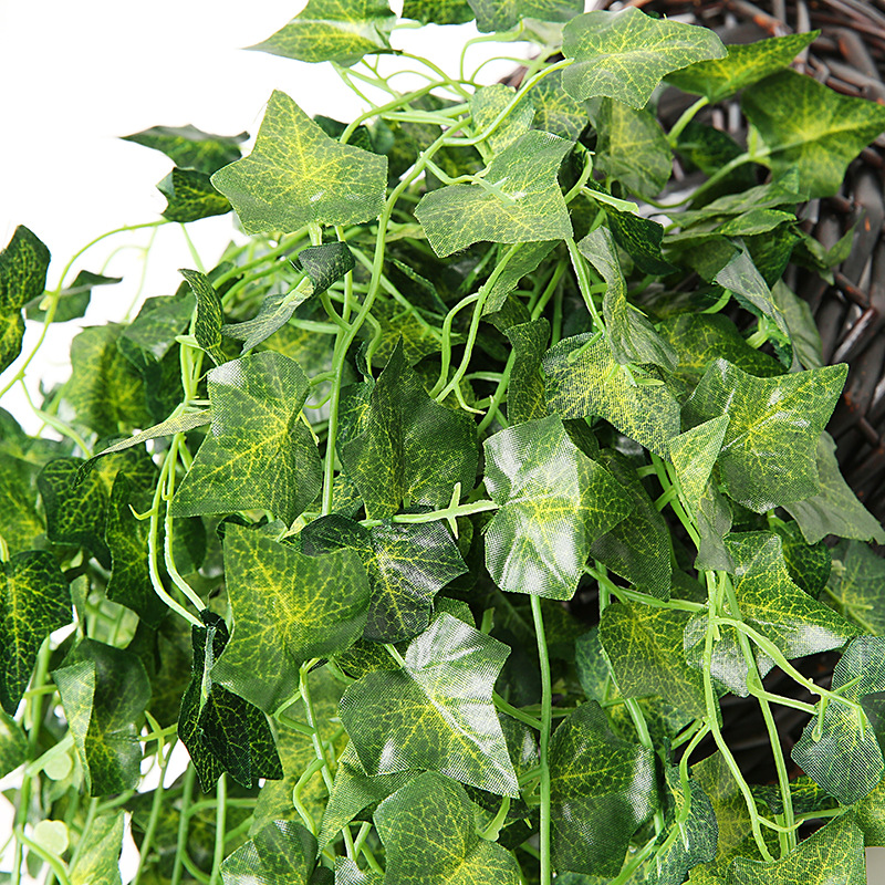 Artificial Basket Rattan Hangi - Pilea Peperomioides ulasan dan harga