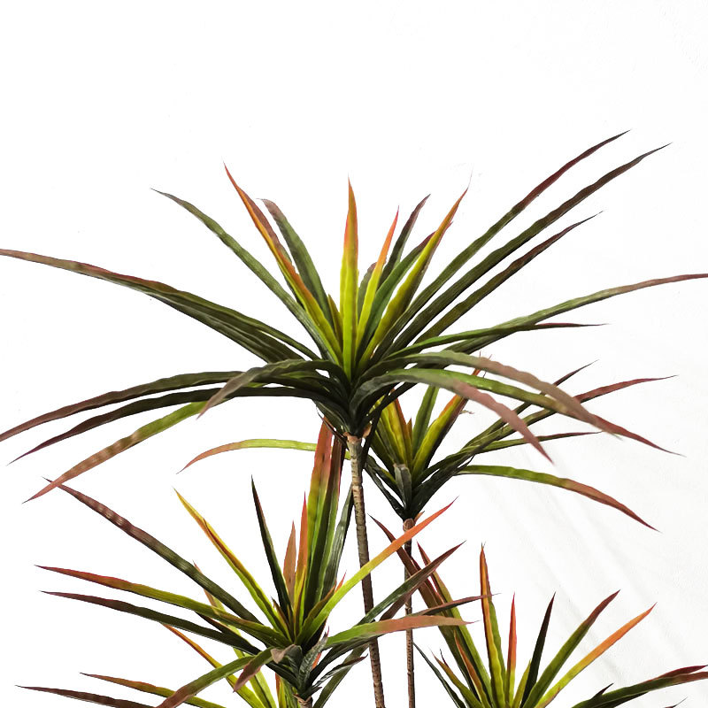 New 90-120cm Artificial Dracae - Dracaena Marginata ulasan dan harga
