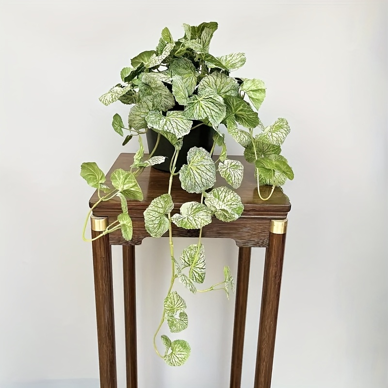 An artificial hanging vine pla - Pilea Peperomioides ulasan dan harga