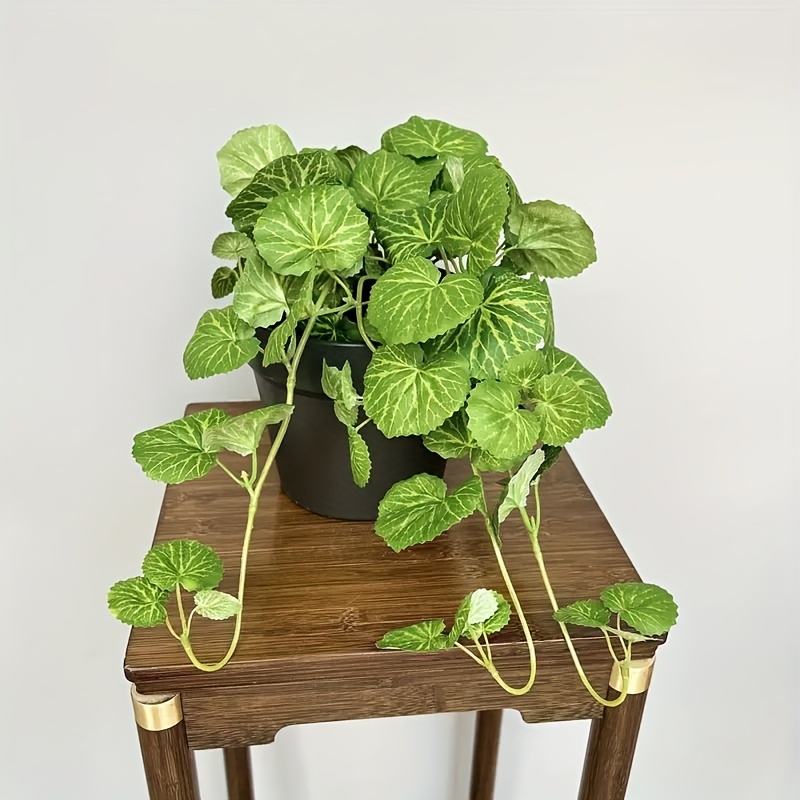 An artificial hanging vine pla - Pilea Peperomioides ulasan dan harga