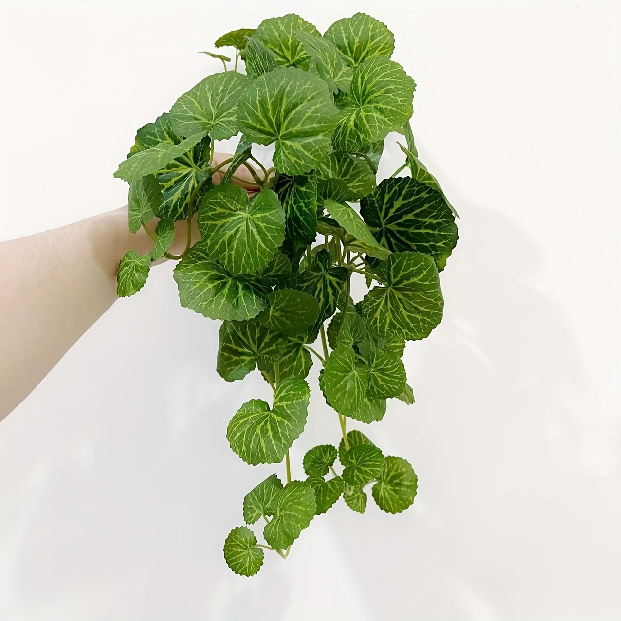 An artificial hanging vine pla - Pilea Peperomioides ulasan dan harga