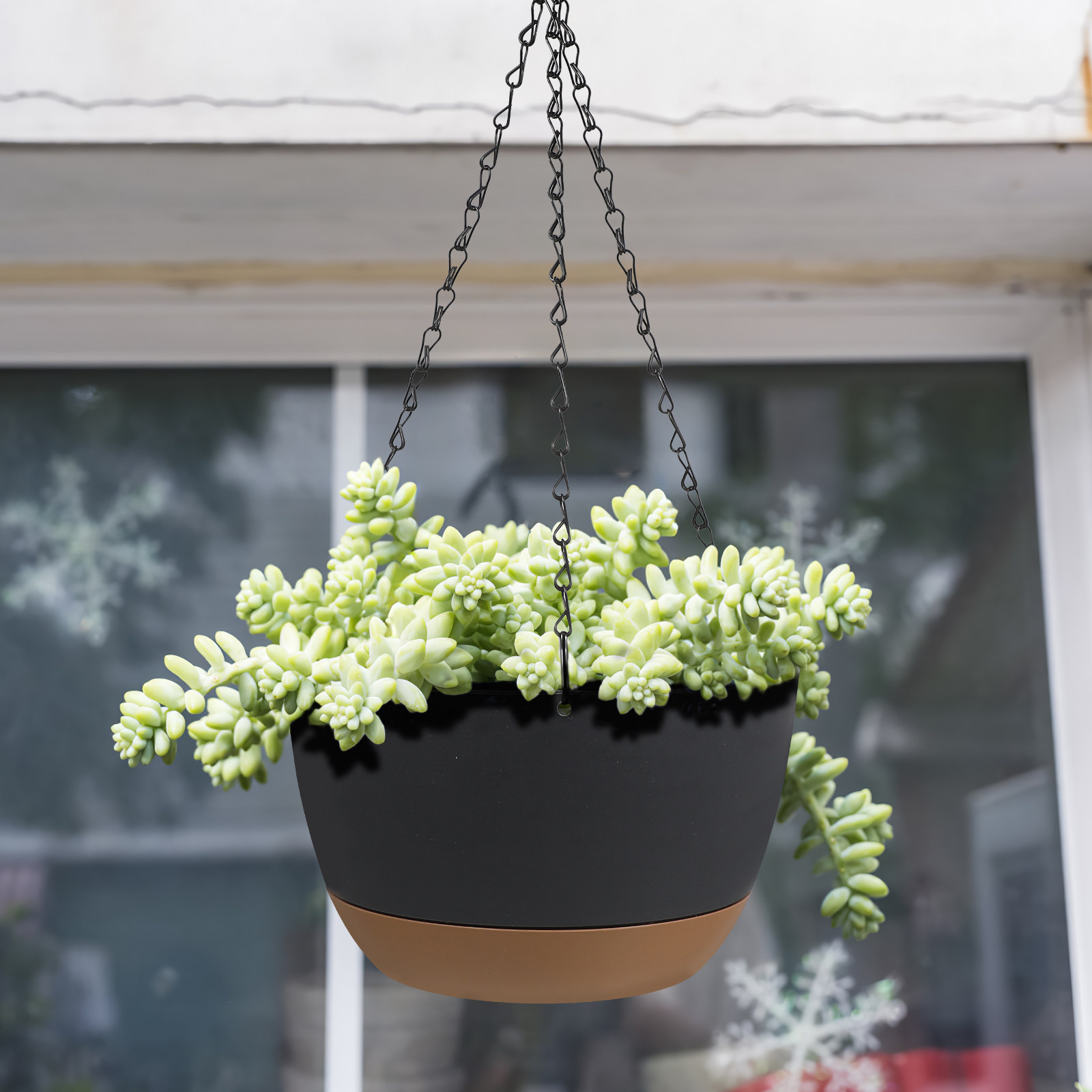 2Set Hanging Planters Heavy Du - Spider Plant Hanging ulasan dan harga