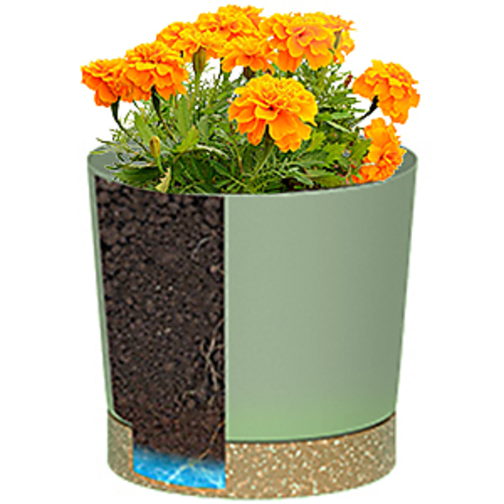 Plant POTS, lightweight large  - Pilea Peperomioides ulasan dan harga