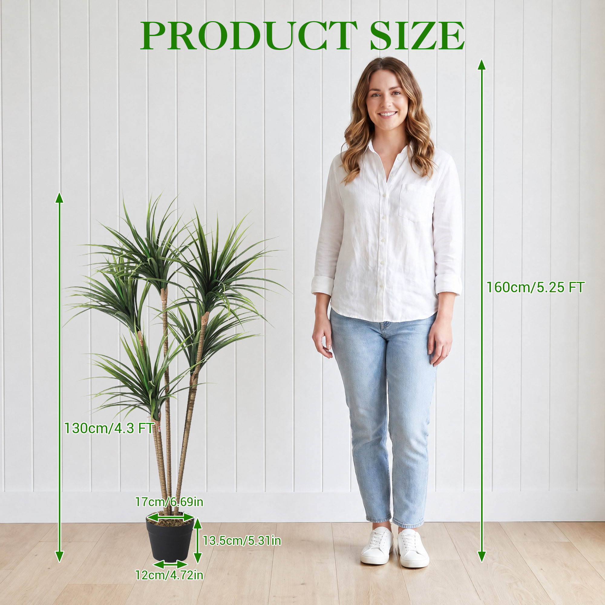 5FT 6FT Artificial Dracaena Ma - Dracaena Marginata ulasan dan harga