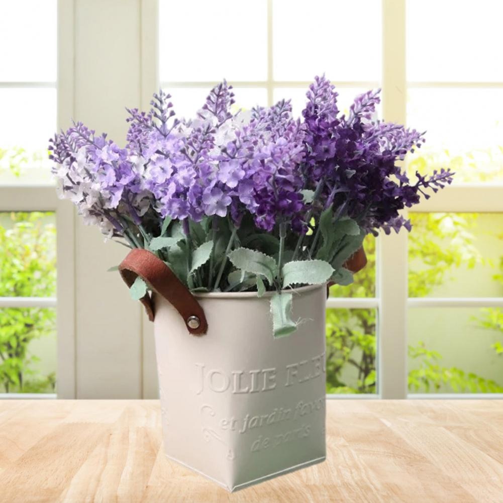 Barrels Garden Decoration Tin  - Pilea Peperomioides ulasan dan harga