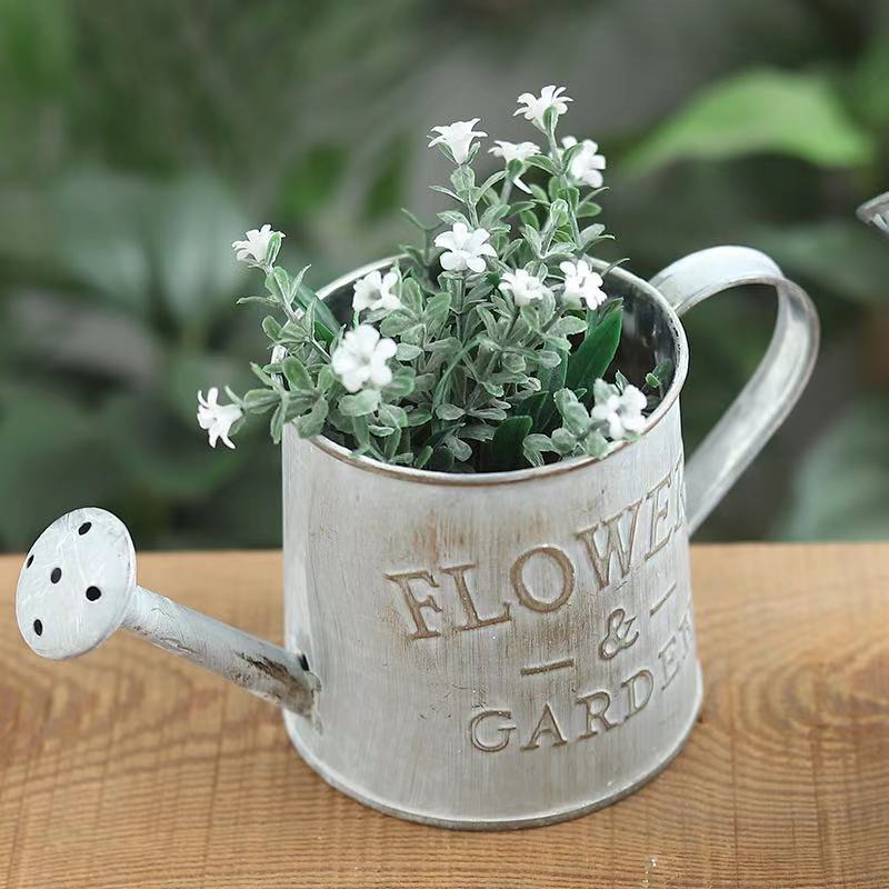 Barrels Garden Decoration Tin  - Pilea Peperomioides ulasan dan harga