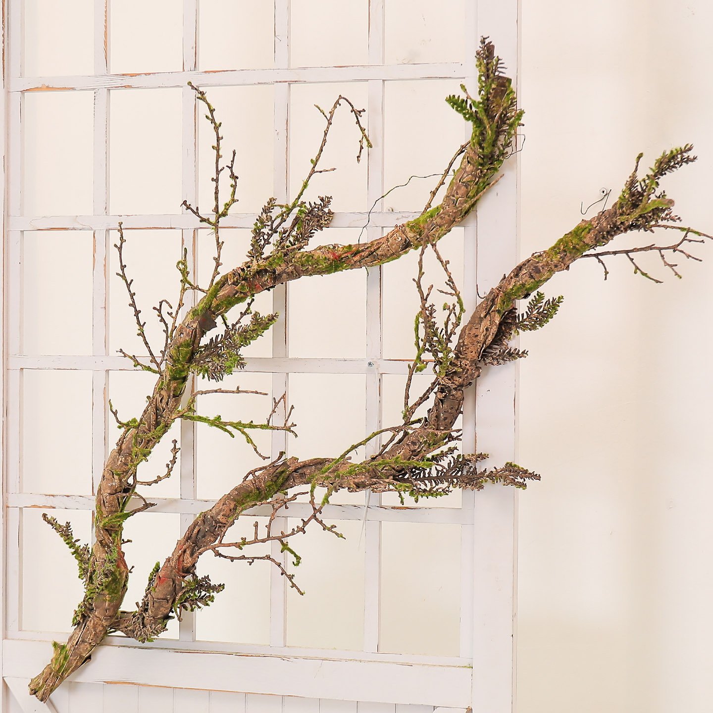 New Withered Vines Artificial  - Pilea Peperomioides ulasan dan harga