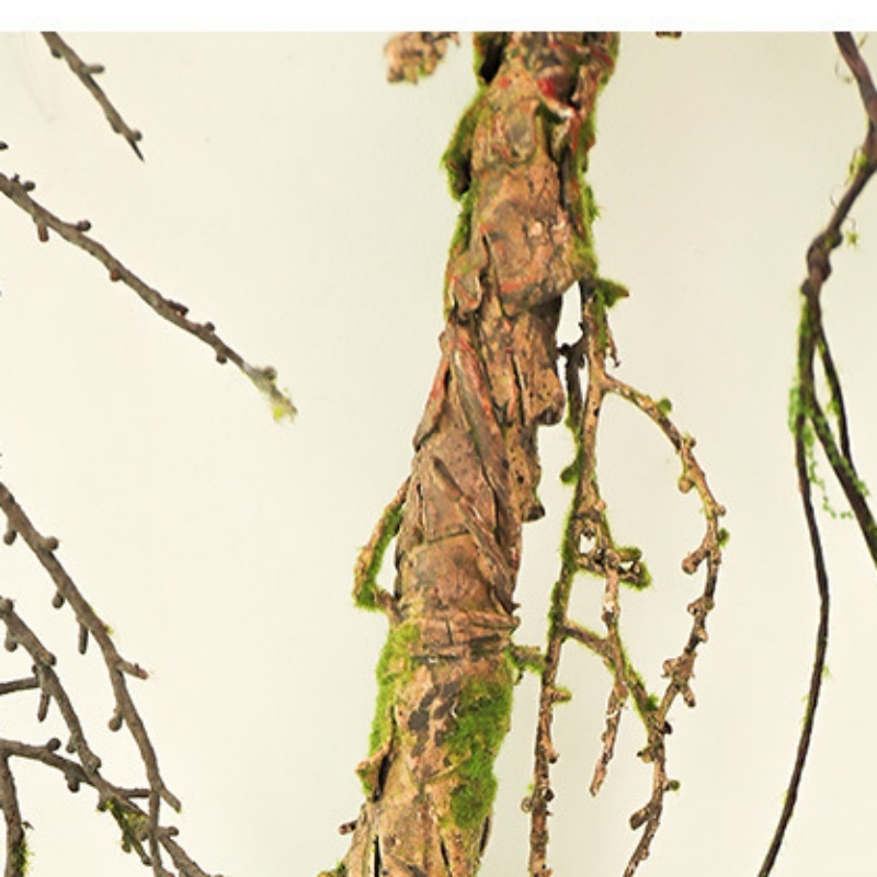 New Withered Vines Artificial  - Pilea Peperomioides ulasan dan harga