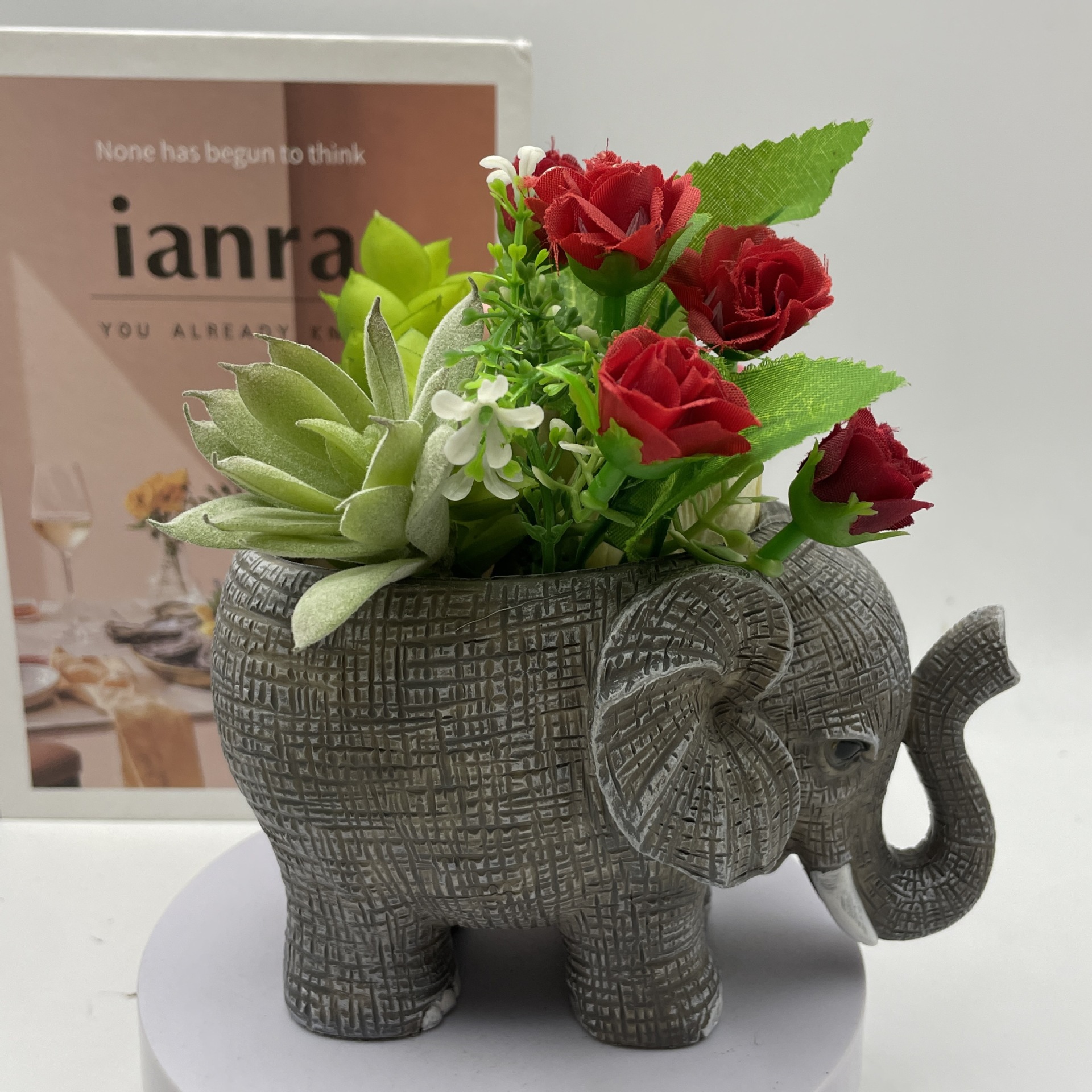 Cute Elephant Resin Succulent  - Echeveria Succulent ulasan dan harga