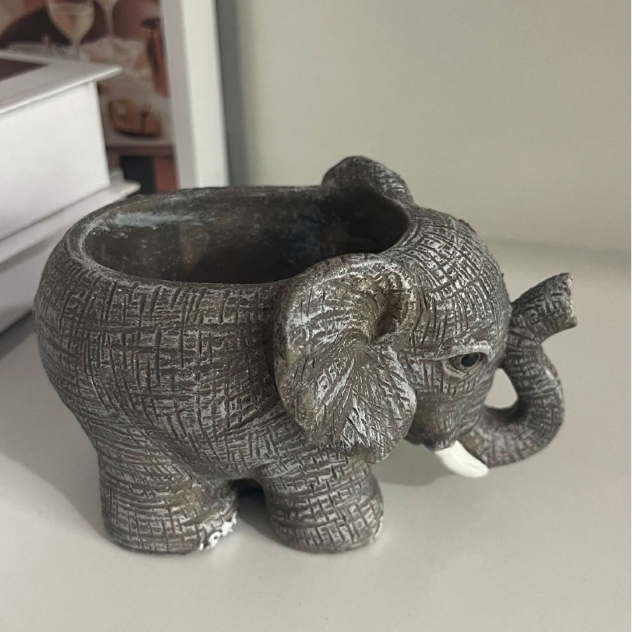 Cute Elephant Resin Succulent  - Echeveria Succulent ulasan dan harga