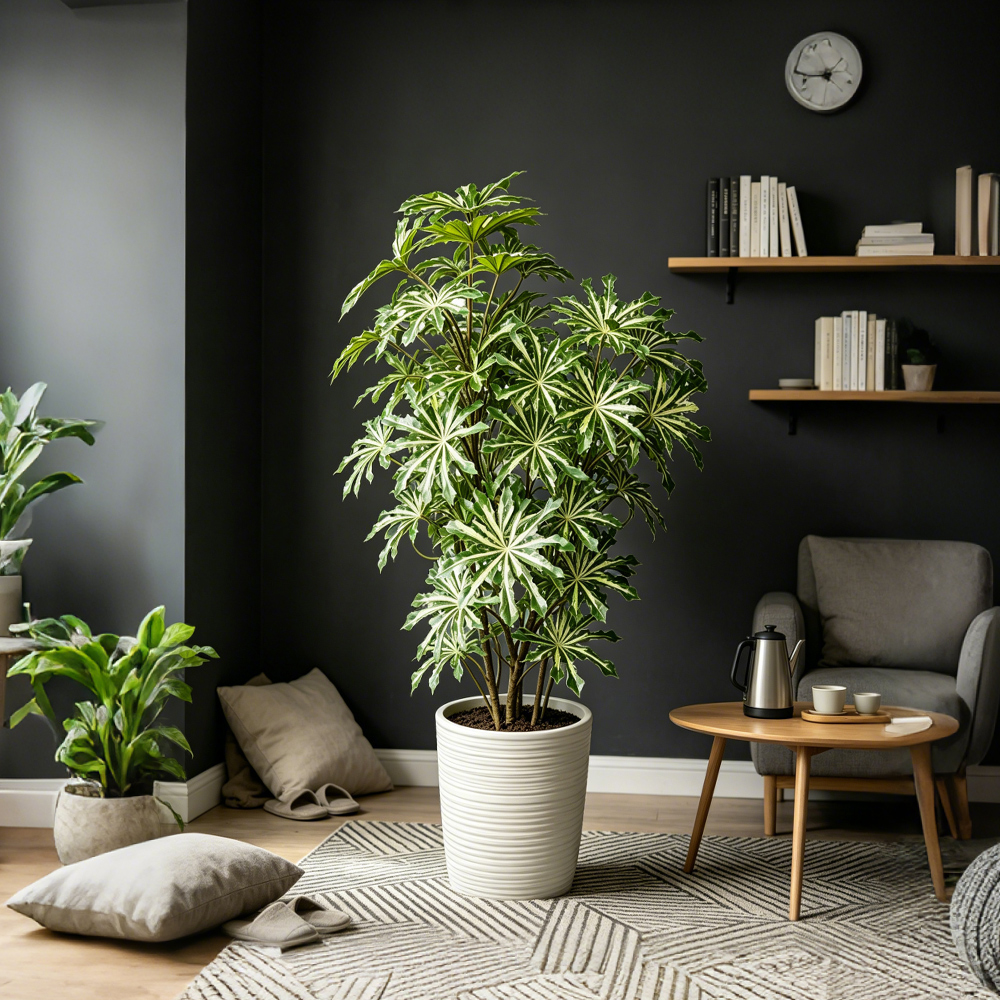80-96cm Large Artificial Cassa - Ficus Lyrata Tree ulasan dan harga
