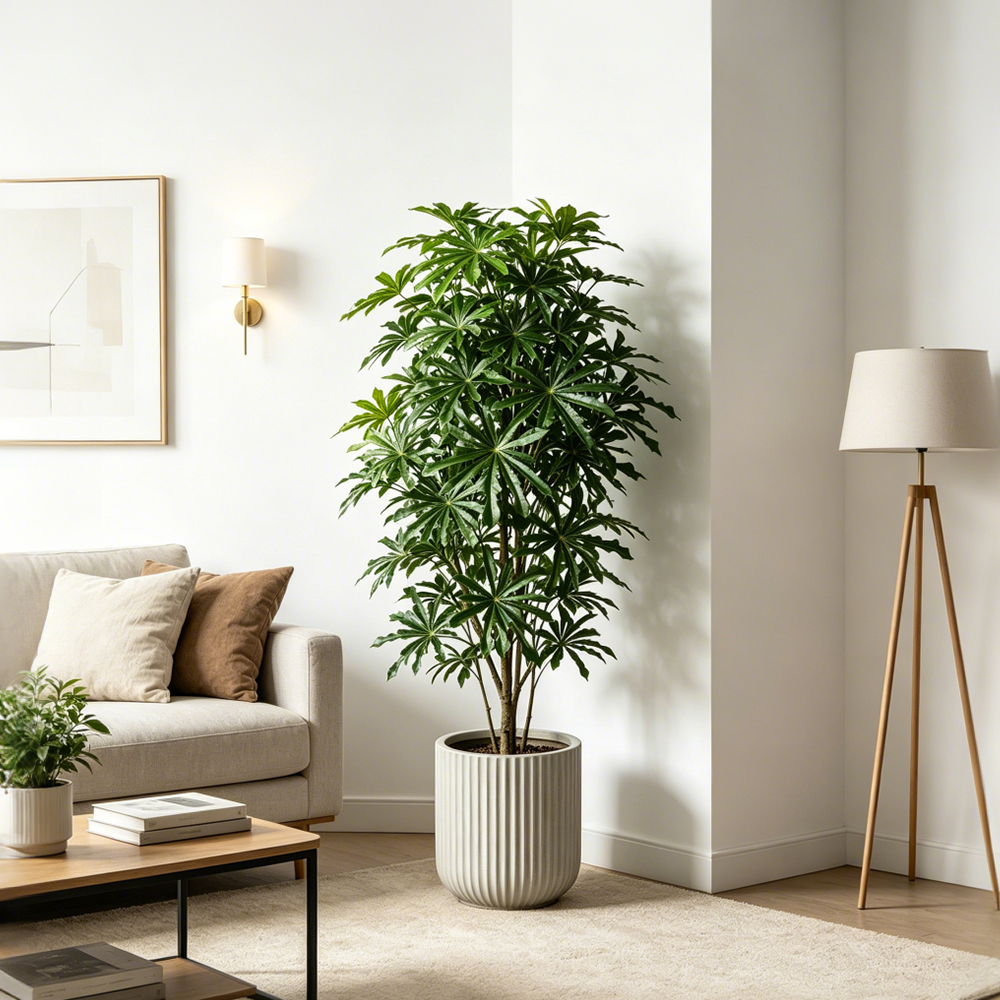80-96cm Large Artificial Cassa - Ficus Lyrata Tree ulasan dan harga