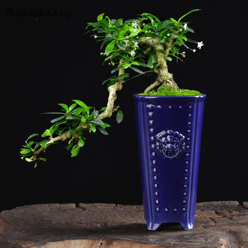 Creative Chinese Ceramic Flowe - Pilea Peperomioides ulasan dan harga